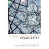 Visionary Pragmatism: Radical and Ecological Democracy in Neoliberal Times