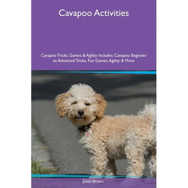 Cavapoo Activities Cavapoo Tricks, Games & Agility Includes: Cavapoo Beginner to Advanced Tricks, Fun Games, Agility and More