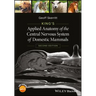 King's Applied Anatomy of the Central Nervous System of Domestic Mammals
