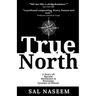 True North