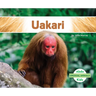 Uakari