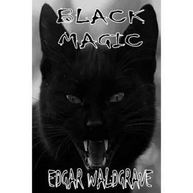 Black Magic - The Witch Chronicles - Rise Of The Dark Witch High King - Book Two