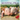 Keeping Pigs: The Complete Practical Guide for Pleasure or Profit