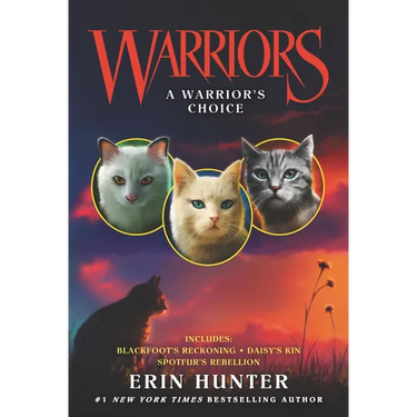 Warriors: A Warrior's Choice