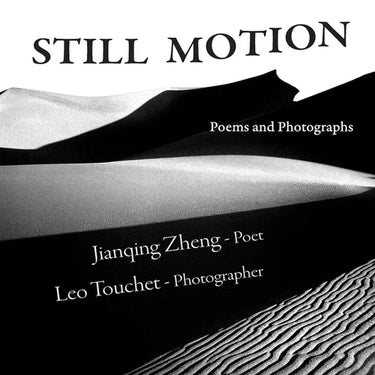 Still Motion: Poems and Photographs