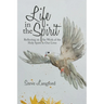 Life in the Spirit: Reflecting on the Work of the Holy Spirit in Our Lives