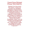 Canal Zone Richard Prince YES RASTA: Selected Court Documents from Cariou v. Prince et al