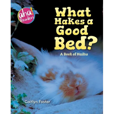 What Makes a Good Bed?: A book of Haiku