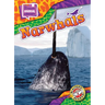Narwhals