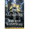 The Witch of Whispervale: The Buccaneers, Book 2