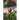 Accidental Garden