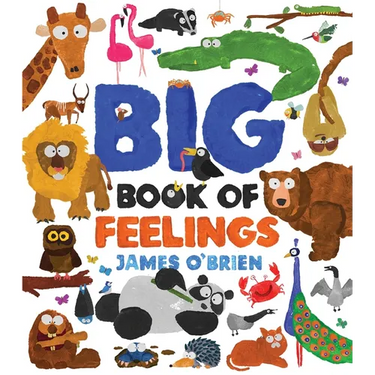 Big Book of Feelings