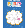 How to draw bird for beginners: Easy ways and Step-by-Step Bird Drawings for Kids