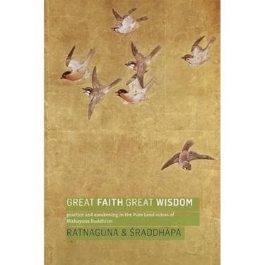 Great Faith, Great Wisdom: Practice and Awakening in the Pure Land Sutras of Mahayana Buddhism