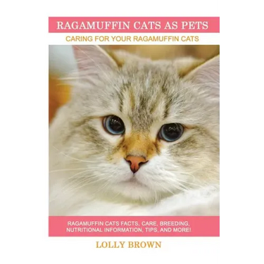 Ragamuffin Cats As Pets: Ragamuffin Cats facts, care, breeding, nutritional information, tips, and more! Caring For Your Ragamuffin Cats