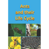 Ants and their Life Cycle