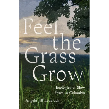 Feel the Grass Grow: Ecologies of Slow Peace in Colombia