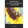 Fragments: A Post-Traumatic Paradigm