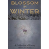 Blossom In Winter