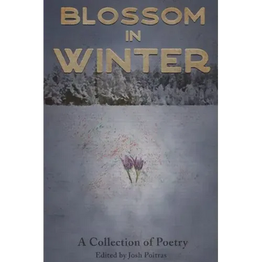 Blossom In Winter