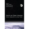 God in an Open Universe