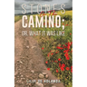 Stones on the Camino; or, What It Was Like