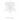 The Sacred Text of Ghost Dragon Kotodama