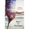 Bony At Bermagui