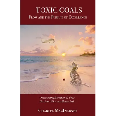 Toxic Goals, Flow and the Pursuit of Excellence: Overcoming Boredom & Fear on Your Way to a Better Life