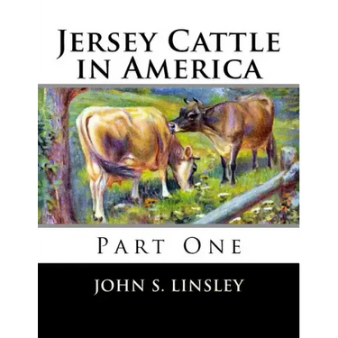 Jersey Cattle in America: Part One
