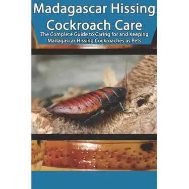 Madagascar Hissing Cockroach Care: The Complete Guide to Caring for and Keeping Madagascar Hissing Cockroaches as Pets