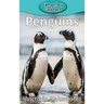Penguins