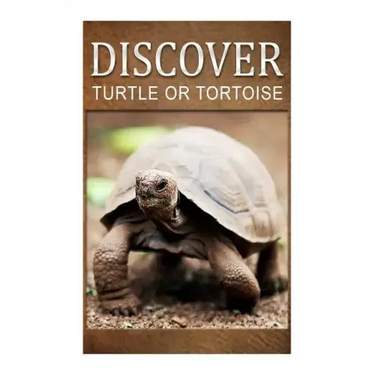 Turtle Or Tortoise - Discover: Early reader's wildlife photography book