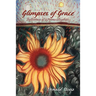Glimpses of Grace: Reflections of a Prison Chaplain