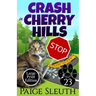 Crash in Cherry Hills