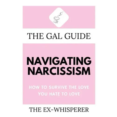 The Gal Guide to Navigating Narcissism: How to Survive the Love You Hate to Love