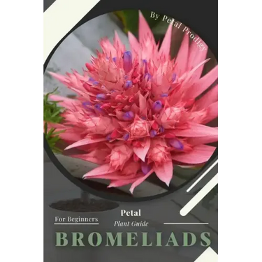 Bromeliads: Prodigy Petal, Plant Guide