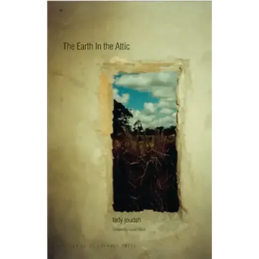 Earth in the Attic