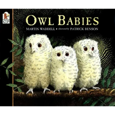 Owl Babies