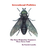Greenhead Politics: The Story Brigantine Taxpayers Were Never Told