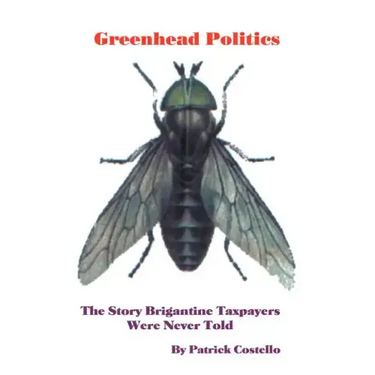 Greenhead Politics: The Story Brigantine Taxpayers Were Never Told