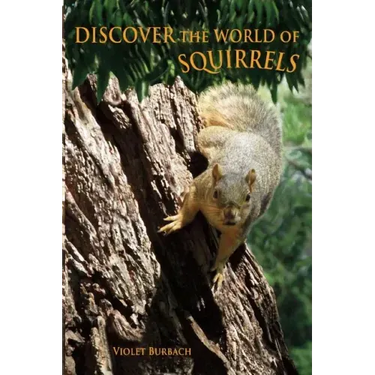 Discover the World of Squirrels: Illustrated Kids Book With Fun Facts About Squirrels And Builds Kids Vocabulary