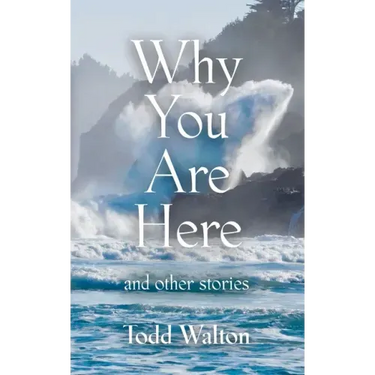 Why You Are Here: and other stories