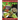 Frogs: Photos and Fun Facts for Kids