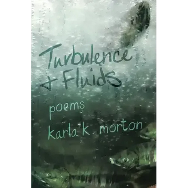Turbulence & Fluids: poems