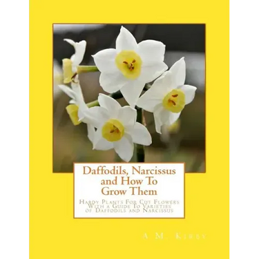Daffodils, Narcissus and How To Grow Them: Hardy Plants For Cut Flowers With a Guide To Varieties of Daffodils and Narcissus