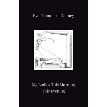 My Bodies This Morning This Evening