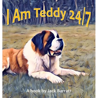 I Am Teddy 24/7