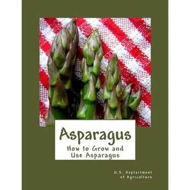 Asparagus: How to Grow and Use Asparagus