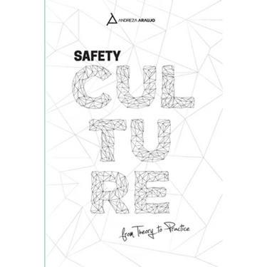 Safety Culture: From Theory To Praytice